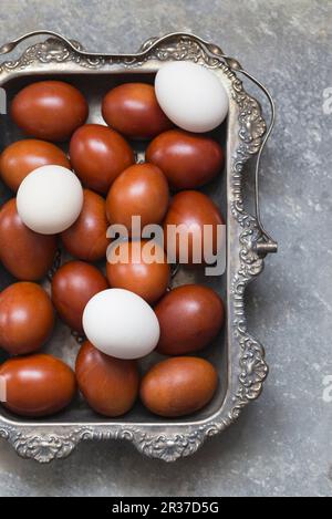 White and brown eggs in a silver tray Stock Photo