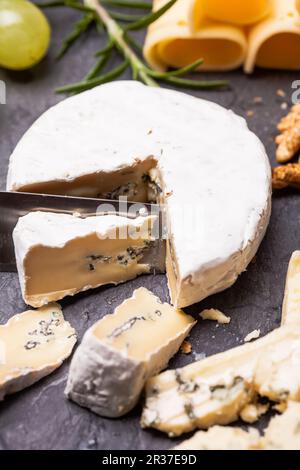 Cheese delicious plate Stock Photo