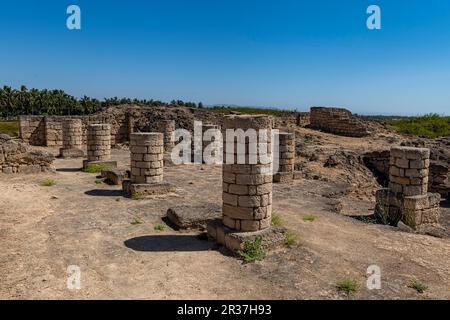 Unesco site Al-Baleed Archaeological Park frankincense trade port, Salalah, Oman Stock Photo