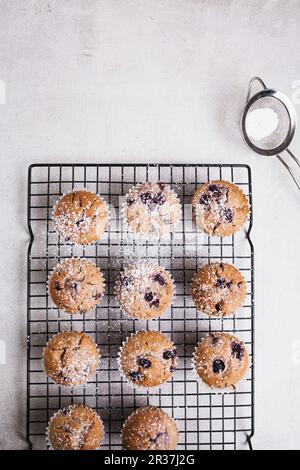Blueberry muffins on baking tray sprinkled with icing sugar Stock Photo