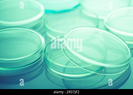 Petri dishes close up Stock Photo