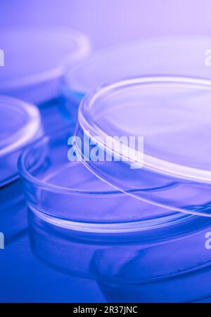 Petri dishes close up Stock Photo