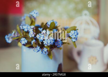 Forget-me-not in rustic cup Stock Photo