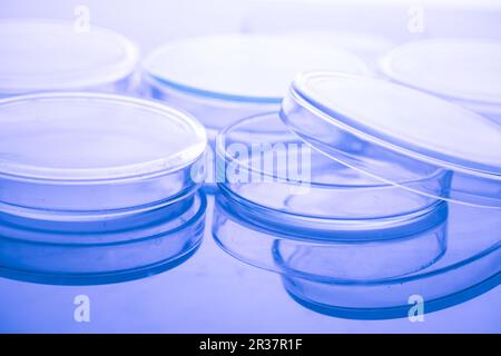 Petri dishes macro Stock Photo