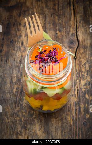 Rainbow salad in glass jars with red cabbage, yellow pepper, tomato, cucumber, carrots and beetroot sprouts Stock Photo