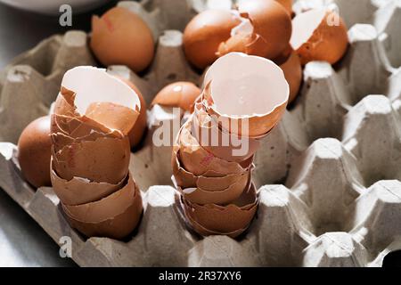 A close-up of eggs shells in an egg box Stock Photo