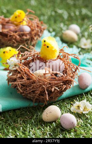Easter nests with chocolate eggs and Easter chicks on grass Stock Photo