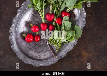 Radishes on a metal tray with a knife Stock Photo