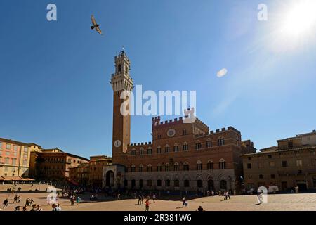 Europe, Tuscany, Siena, Piazza del Campo, Palazzo Pubblico, Italy Stock Photo