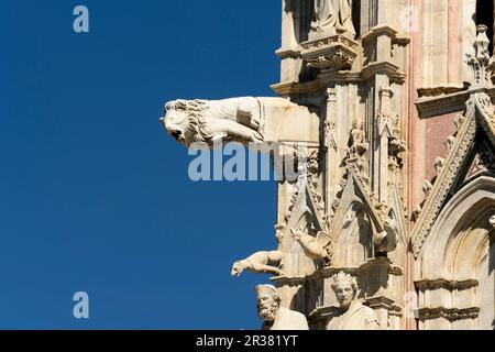 Europe, Tuscany, Siena, Santa Maria Cathedral, gargoyles, Italy Stock Photo