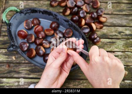 Chestnuts being prepared Stock Photo