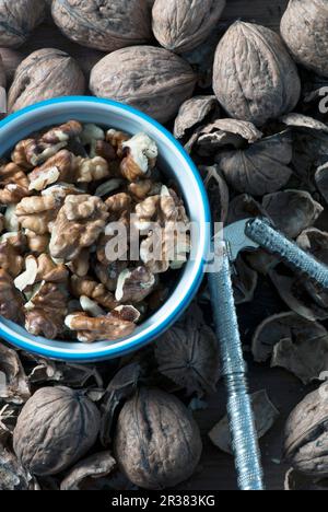 Organic walnuts, a nutcracker and nut shells Stock Photo