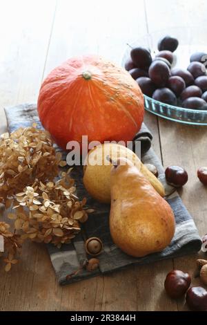 Freshly harvested autumn pears, pumpkins, plums, and chestnuts, with dried hydrangea blossoms on a rustic wooden table Stock Photo