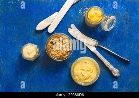 Four mustard varieties (granary mustard, yellow mustard, dijon mustard and brown mustard) with knives on a blue background Stock Photo
