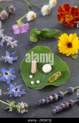 Various healing flowers, herbs and vitamin tablets Stock Photo