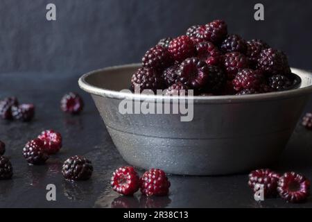 Freshly Picked Wild Black Raspberries in a Metal Bowl on Slate Stock Photo