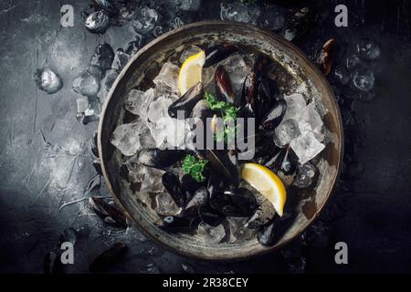 Raw mussels with parsley and lemon on ice Stock Photo