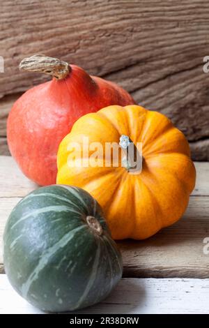 Three different types of squash Stock Photo