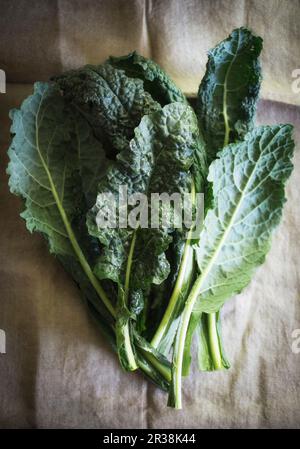 Fresh kale leaves (seen from above) Stock Photo