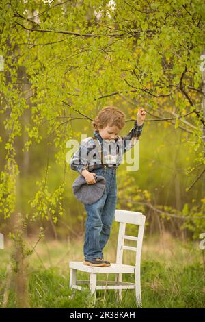 Young blonde boy standing on white old chair under birch tree in outdoor. Stock Photo
