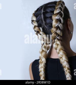 Two thick braids of artificial hair, a youth hairdo, colored hai Stock Photo