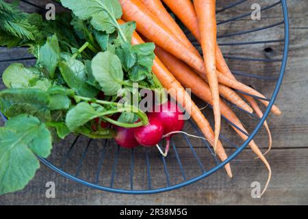 Spring Radishes and Carrots in Wire Basket on Wood Stock Photo