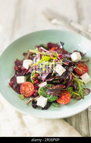 Spicy lettuce with feta, pomegranate seeds and sesame seeds Stock Photo