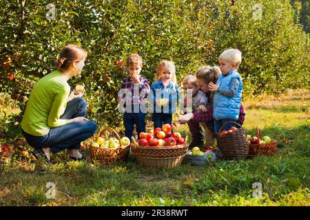 Two adorable women among apple trees at the farm Stock Photo