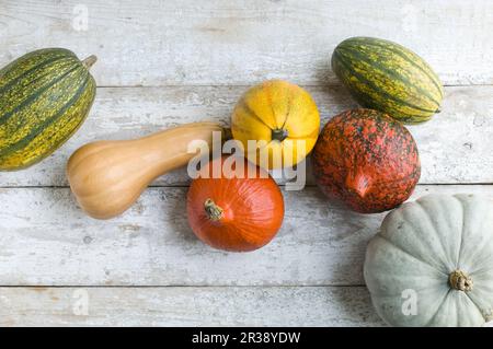 Various pumpkins on a white wooden background Stock Photo