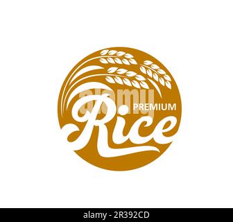 Rice icon premium with spikelets and seeds. Isolated vector agricultural emblem for grain cereal production. Round light brown and white label for natural, organic groat products and healthy food Stock Vector