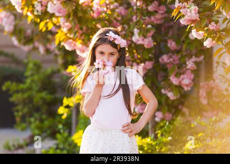 Spring portrait, adorable little girl walk in blossom sakura tree garden Stock Photo