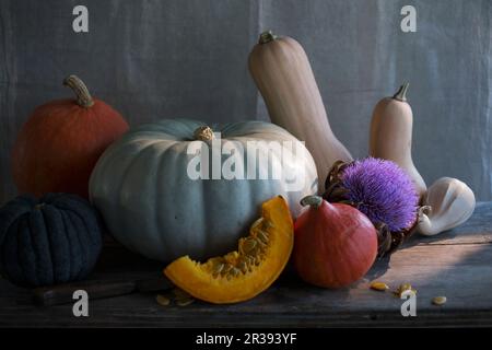 Assorted pumpkins, squashes and gourds Stock Photo