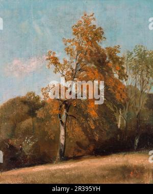 John Constable - Study of an Ash Tree Stock Photo - Alamy