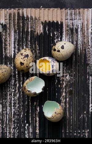 Still life of quail eggs Stock Photo