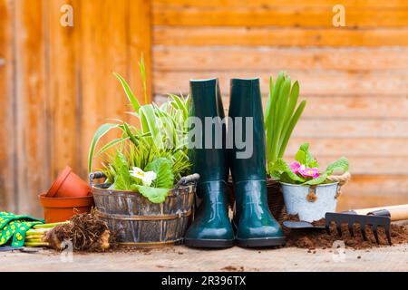 Gardening tools and flowers on the terrace Stock Photo