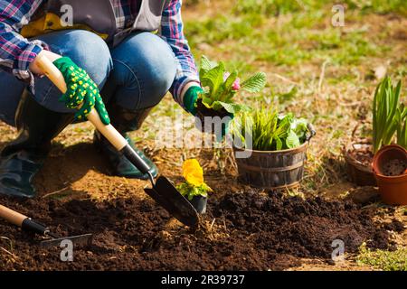 Woman is digging the soil on flower bed Stock Photo