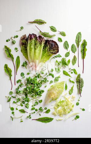 Various lettuce leaves and herbs on a white surface Stock Photo