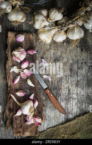 Opened garlic bulbs on tree bark and garlic wreath on rustic wooden surface Stock Photo