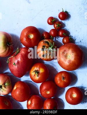 Various freshly harvested tomatoes (seen from above) Stock Photo
