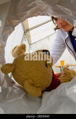 23 May 2023, Saxony-Anhalt, Magdeburg: A teddy lies in a play computer tomograph in the 'Teddy Clinic' at the Medical Faculty of Otto von Guericke University Magdeburg. In the tent hospital, children can have their cuddly toys examined by medical students until May 25, 2023. About 600 daycare children have registered for the project, organizers said. An 'open consultation hour' for all children is to take place on May 24, 2023 afternoon. The teddy clinic aims to take away children's fear of visiting the doctor by having them go through the process of a doctor's visit with their stuffed animals Stock Photo