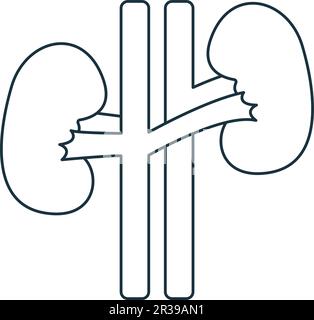 Kidneys icon. Monochrome simple sign from anatomy collection. Kidneys icon for logo, templates, web design and infographics. Stock Vector