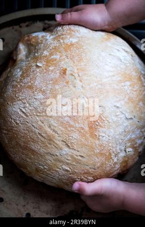 Baguette -La macchina del pane