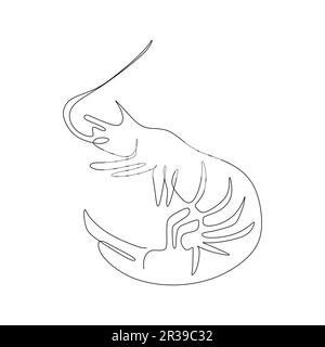 continuous line drawing of shrimp. Vector illustration on white background. Stock Vector