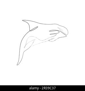 Continuous one line drawing of an orca vector illustration isolated on white background. Orcinus orca or killer whale drawing Stock Vector
