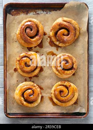 Cinnamon buns on a baking tray (seen from above) Stock Photo