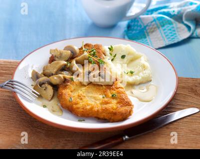 Escalope chasseur (pork escalope with mushroom sauce) with mashed celeriac Stock Photo