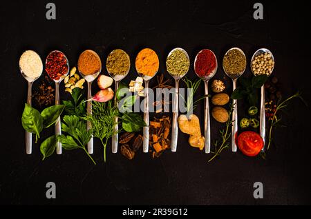 A set of spices and herbs. A lot of seasoning in spoons on black background Stock Photo