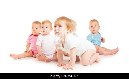 Group of cute babies crawling on floor. Isolated on white. Stock Photo