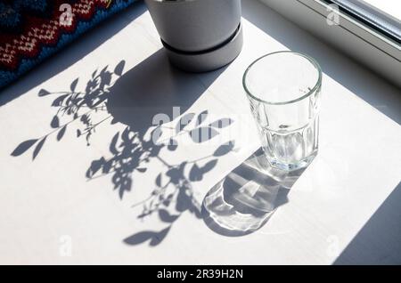 Sharp shadows on a white background. Shadows from an empty glass and leaves Stock Photo