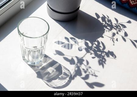 Shadows from an empty glass and leaves Stock Photo